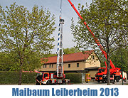 Maibaum aufstellen 2013 im Leiberheim (©Foto: Martin Schmitz)